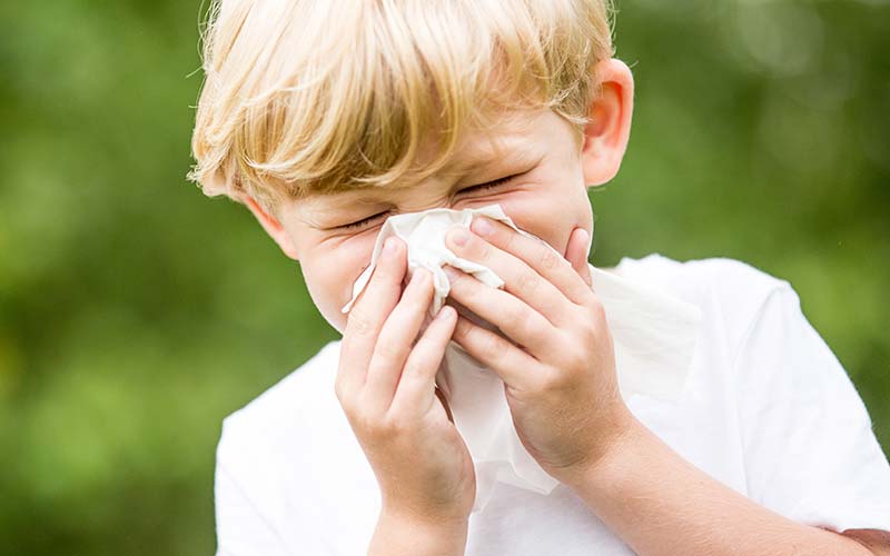 Pollenallergie bei Kindern erkennen