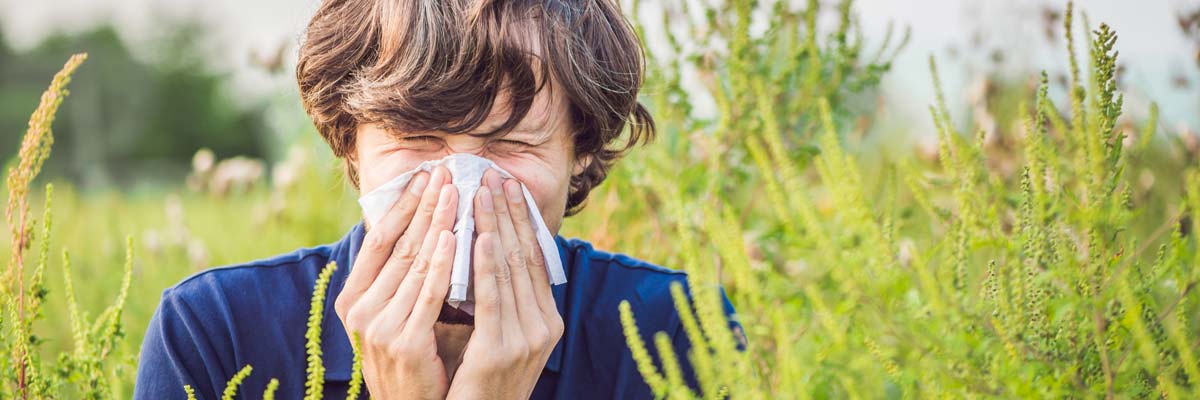 Symptome einer Pollenallergie