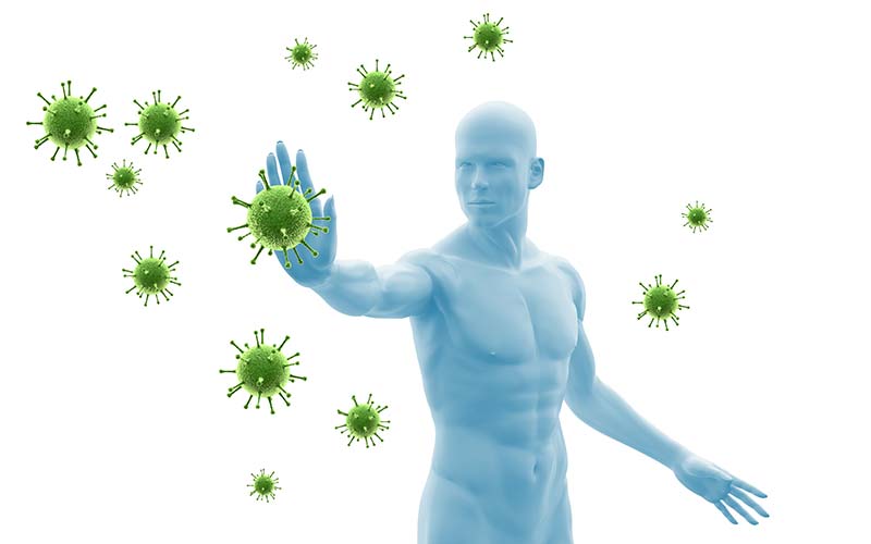 Das Immunsystem ist wichtig für die körpereigenen Abwehrkräfte