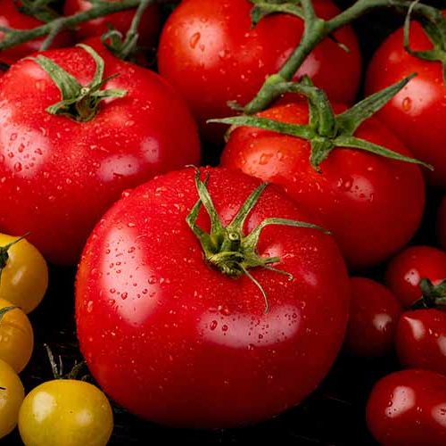 allergen-tomaten